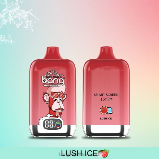 Bang Vape Digital Smart Screen 15 000 strhnutí 25 ml | 0P0611 Bang Vape SK jednorazové