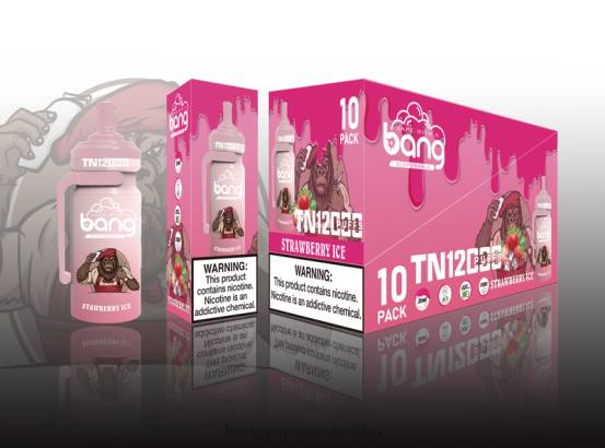 Bang Vape TN12000 puzdro so sieťovou cievkou | 0P065 Vape Gang Disposables jednorazové