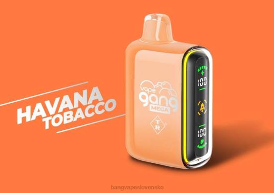 Vape Gang MEGA 20 000 vdychov jednorazovej vapky (škatuľka po 5) | 0P0655 Bang Vape Slovensko havanský tabak