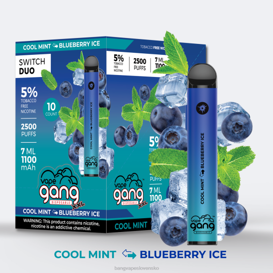 Vape Gang Switch Duo 2 príchute (balenie po 10 kusov) | 0P0647 Bang Disposable Vape Flavors jahodový ľad - melónový ľad