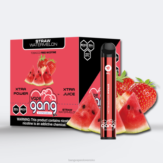 Vape Gang XL jednorazové vapky 600 vstrekov (škatuľa po 10 kusov) | 0P0674 Bang Vape Bratislava slamený melón