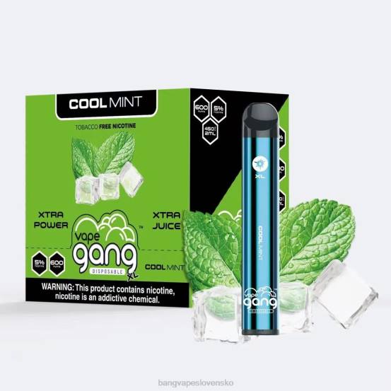 Vape Gang XL jednorazové vapky 600 vstrekov (škatuľa po 10 kusov) | 0P0679 Bang Disposable Vape Flavors chladná mäta